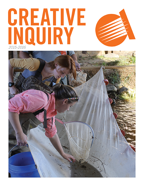 example of CI Annual Report work