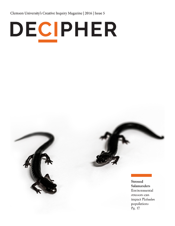 example of Decipher work