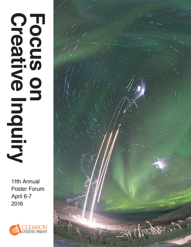 example of FoCI Program work